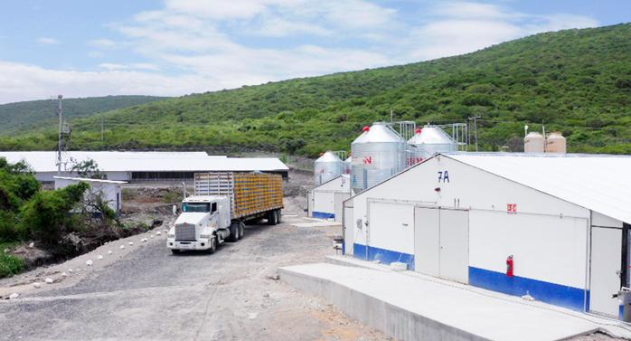 Instalaciones de la granja de Avigrupo en el estado de Morelos
